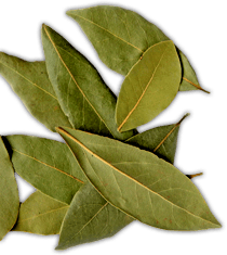 Pizza Pierre photo 3