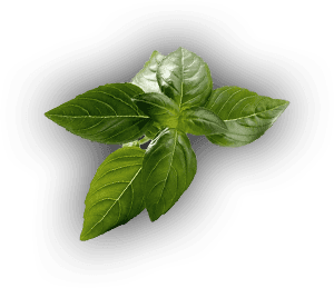 Pizza Pierre photo 4