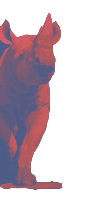 L'Atelier de l'Écharpe