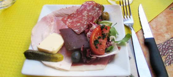 Voyageur Nissart photo 2