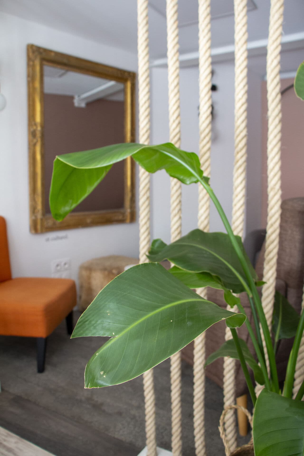 La Petite Robe Noire photo 7