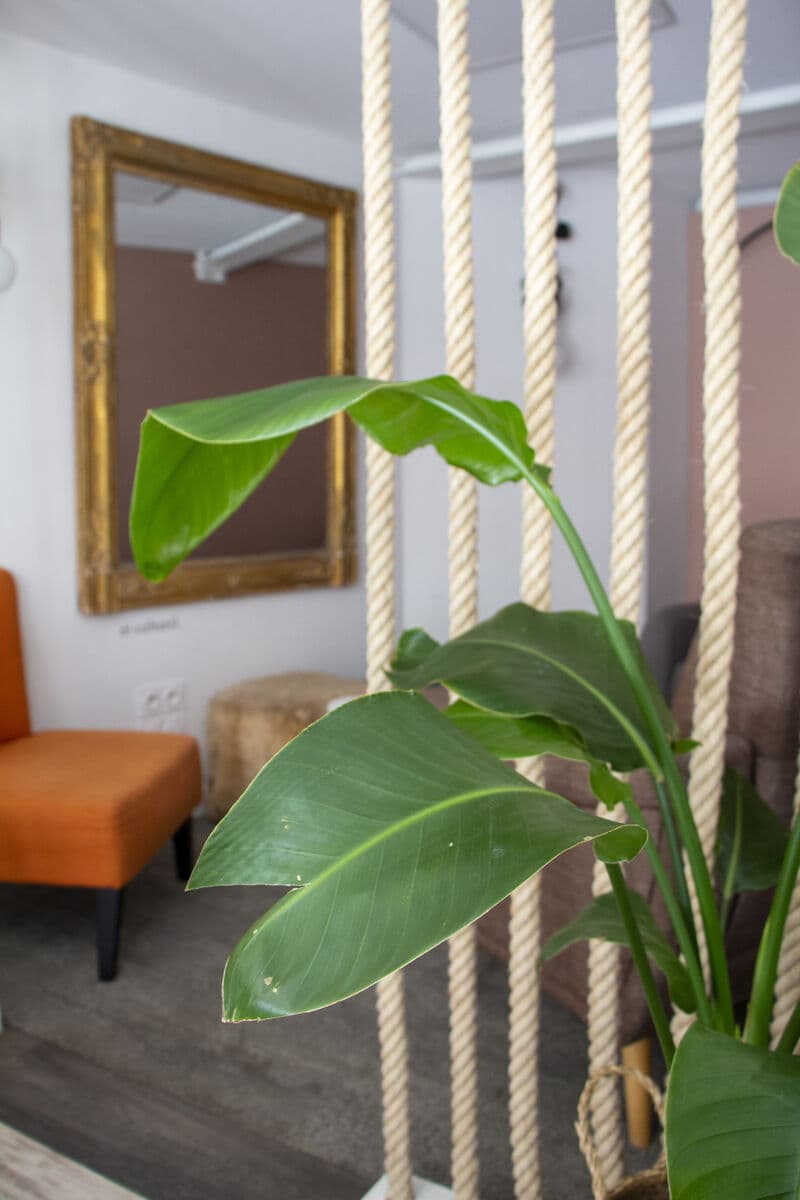 La Petite Robe Noire photo 3