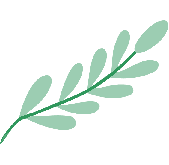 La Maison à Pizza photo 4