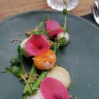 La Mangouste photo 7