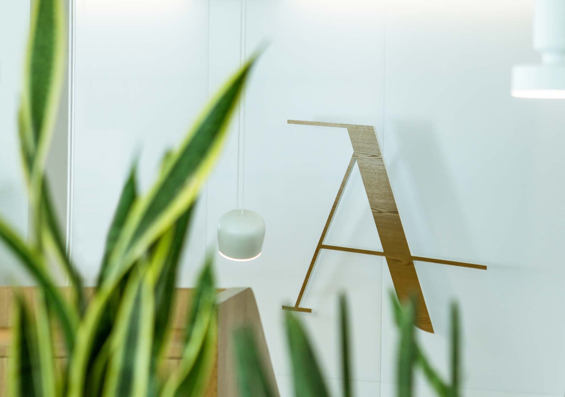 L'Arbre Blanc photo 5