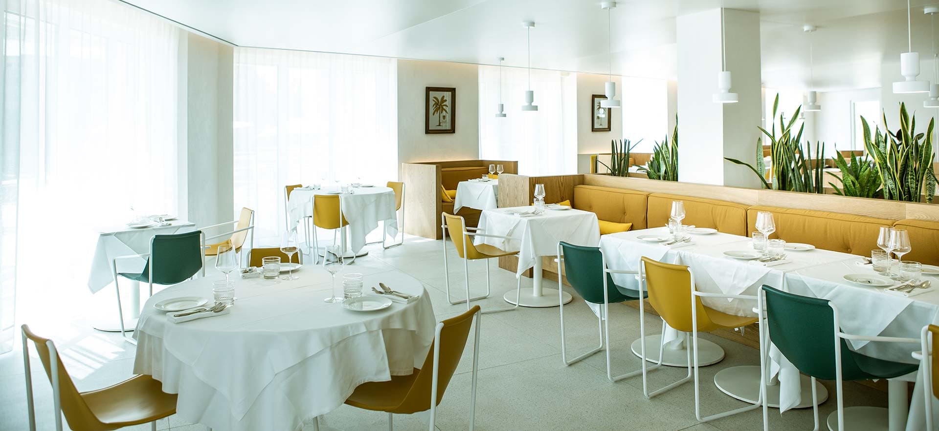 L'Arbre Blanc photo 3