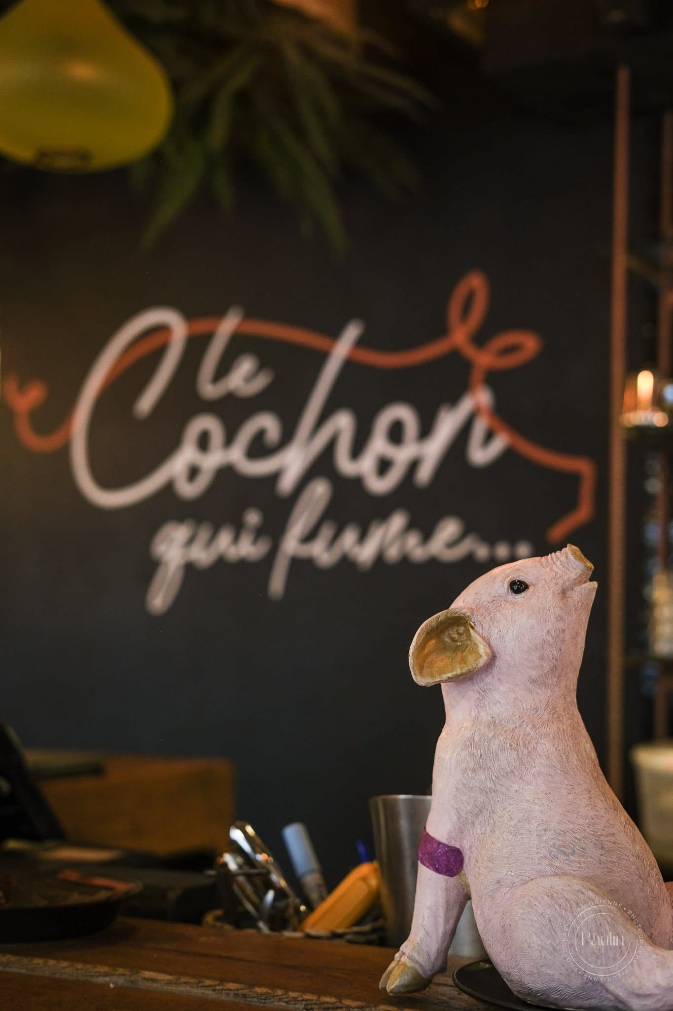 Le Cochon qui fume photo 1