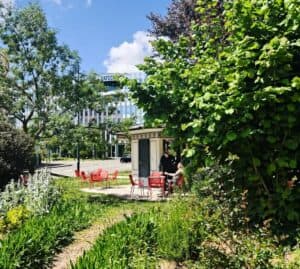 Le Kiosque de la Roseraie photo 8