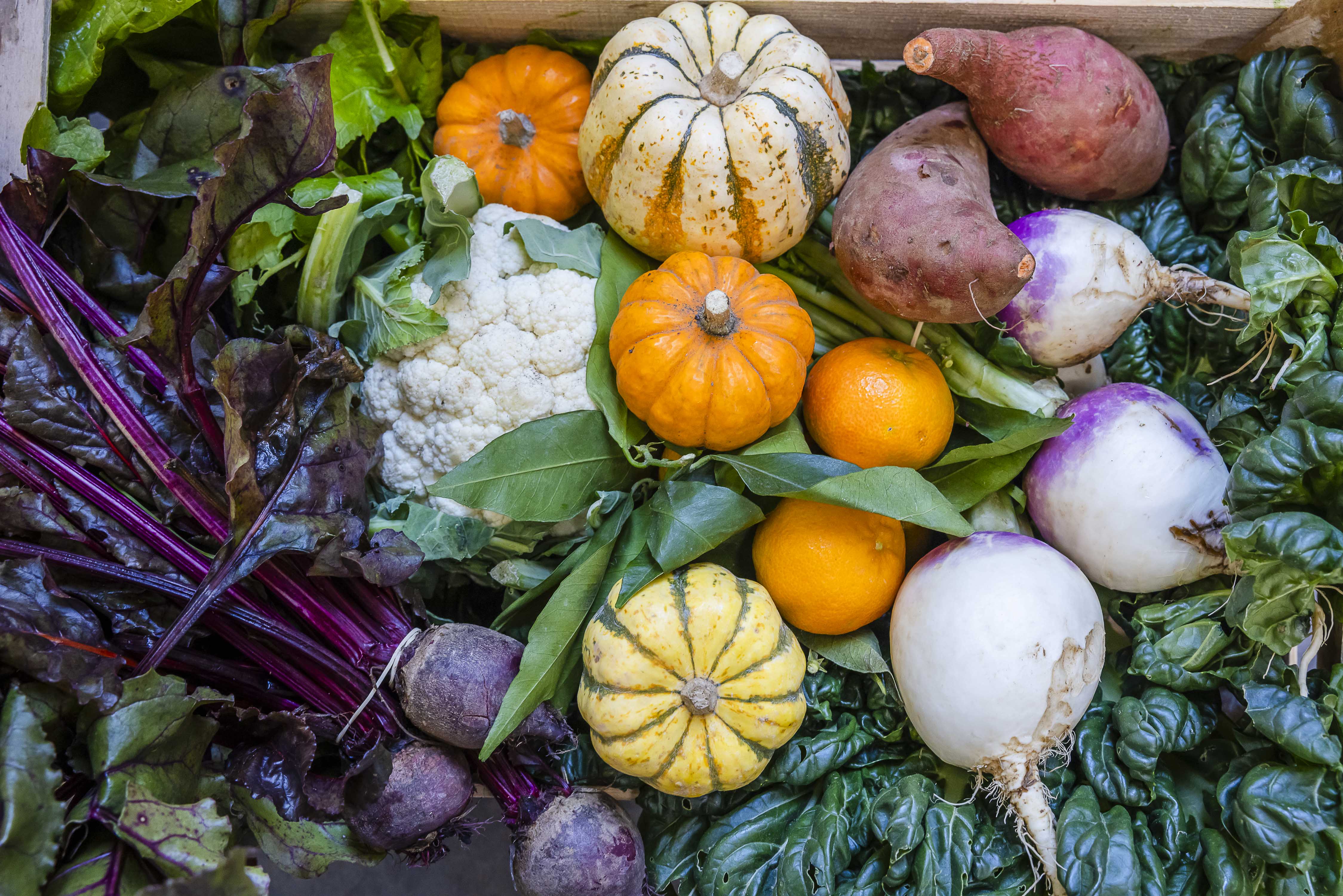 Les Jardins du Cloître de Marseille photo 7