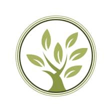 Les pins d'Alep photo 7