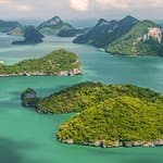 Les Trésors du Liban photo 8