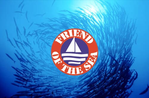 Sumo Suhi Bar photo 3