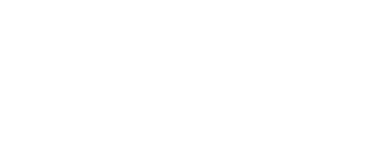 Olive & Artichaut photo 5