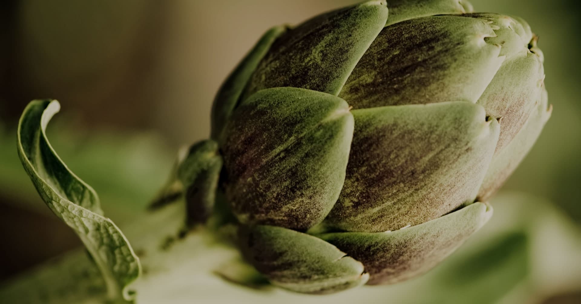 Olive & Artichaut photo 7