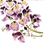 Papà Raffaele photo 6