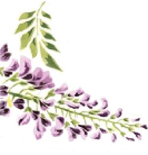 Papà Raffaele photo 7