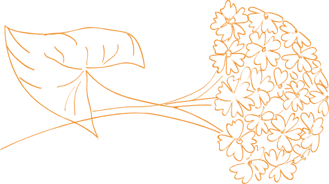 Le Comptoir du Sarrasin photo 3