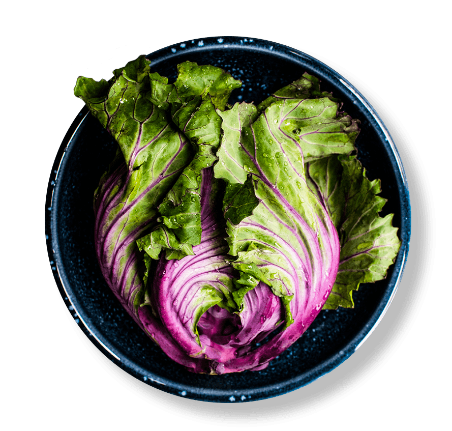 La Maniguette photo 2