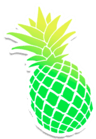 Rodizio Brazil photo 2