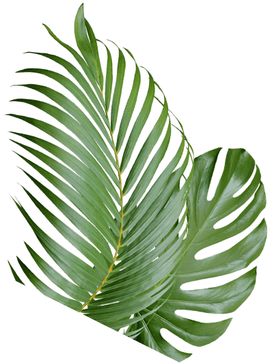 Rodizio Brazil photo 1