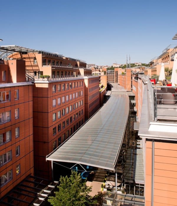 Suelta Verde photo 2