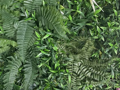 Brasserie Odette photo 3