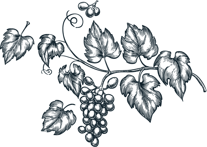 Comptoir du Marché photo 8