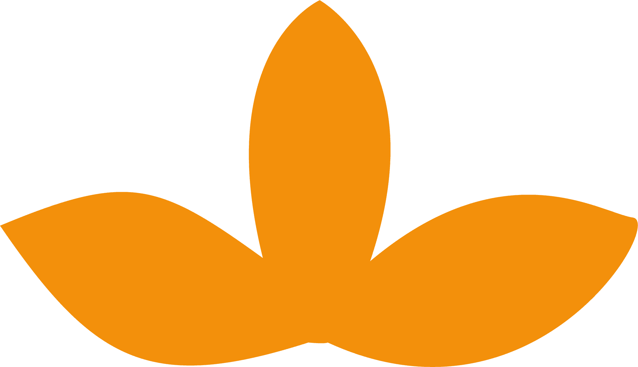 Le Cafouch aux Saveurs photo 7