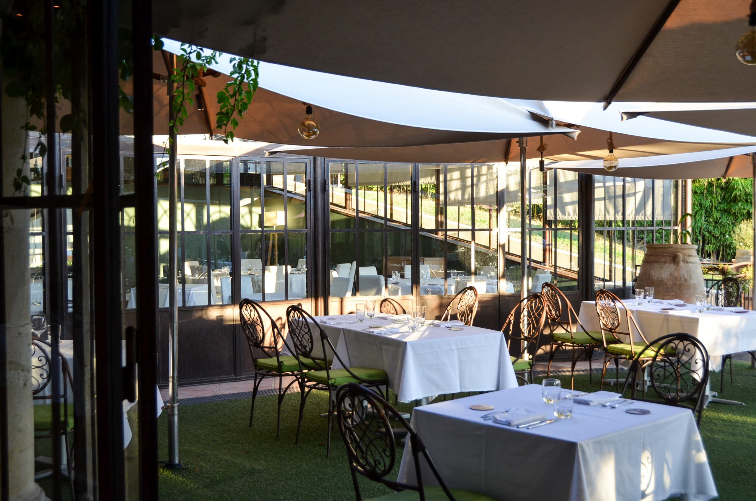 Le Grand Arbre photo 5