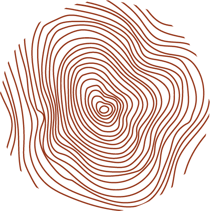 Le Grand Arbre photo 1