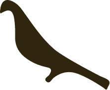 Le Petit Jardin photo 2