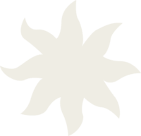 Pura Vida Montpellier photo 3