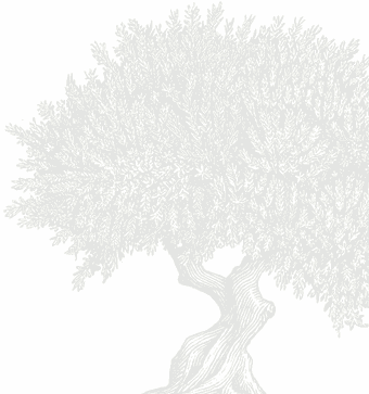 La Villa des Oliviers